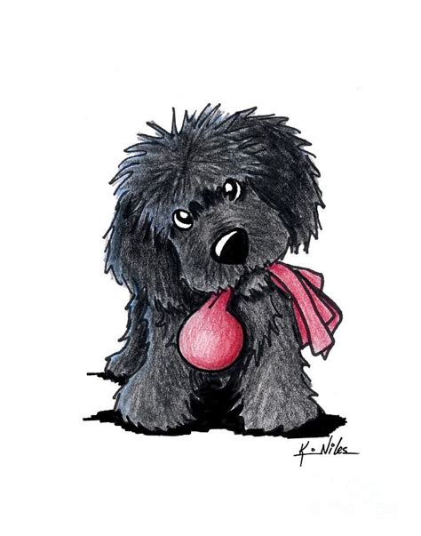 Learn all about cavapoo breed. Newfoundland Puppy by Kim Niles | Puppy drawing, Dog ...