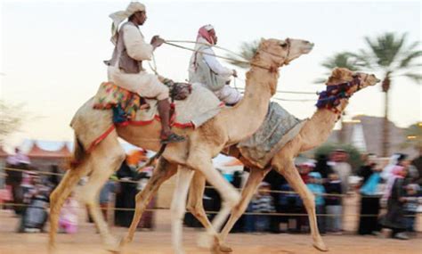 Here you can calculate how many camels your girlfriend or boyfriend is worth. Riyadh to host camel festival, beauty contest | Arab News