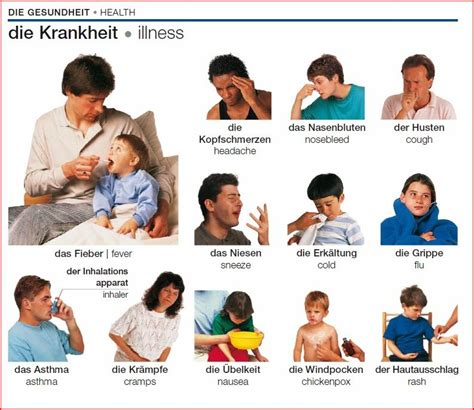 This vocabulary worksheet teaches common illnesses, symptoms, and injuries. القاموس البصري في اللغة الالمانية Visual Dictionary German ...