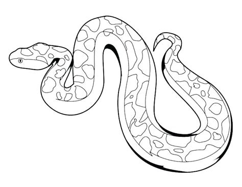 Amazing anaconda snake coloring pages. Diamondback Rattlesnake Coloring Page at GetColorings.com ...