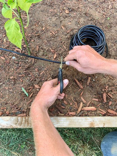 Check spelling or type a new query. How To Install A Drip Irrigation System With Automatic ...