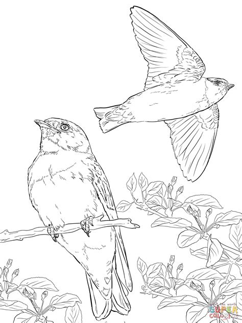 Where can i get free bird coloring pages? Realistic Cliff Swallows coloring page | Free Printable ...