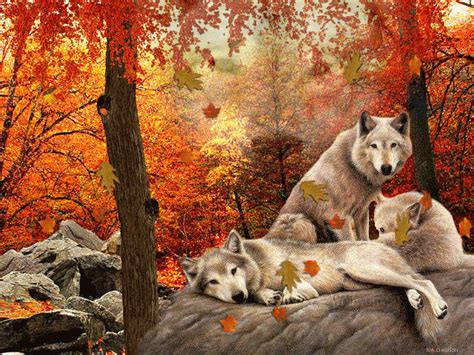 65 animated wolf wallpapers images in full hd, 2k and 4k sizes. Pin von Darlene Greene auf A picture's worth a thousand ...