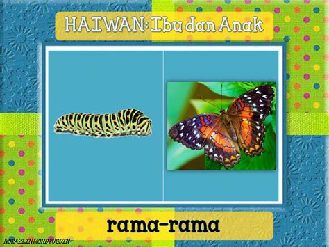 Apakah y angdiperlukan haiwanuntuk terushidup?? Dunia Sains dan Teknologi (Belajar dengan Ceria): DST ...