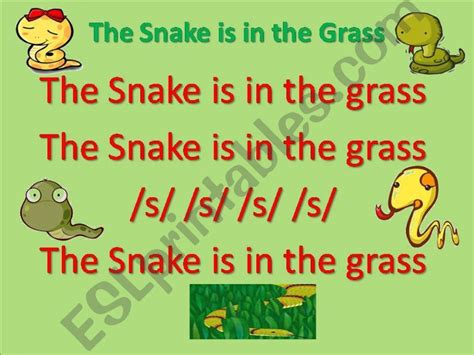 What makes a snake different, even though it is also a reptile? ESL - English PowerPoints: The Snake is in the Grass (Jolly Phonics)