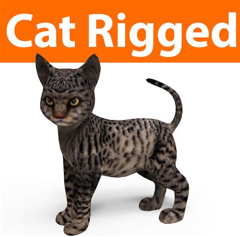 Model of a sleeping cat, now with a wool. 3D model cute cat rigged - TurboSquid 1160399