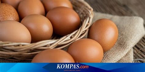 Anda bisa memulai bisnis ini dari modal yang terkecil hingga. Berita Harian Harga-telur-ayam Terbaru Hari Ini - Kompas.com