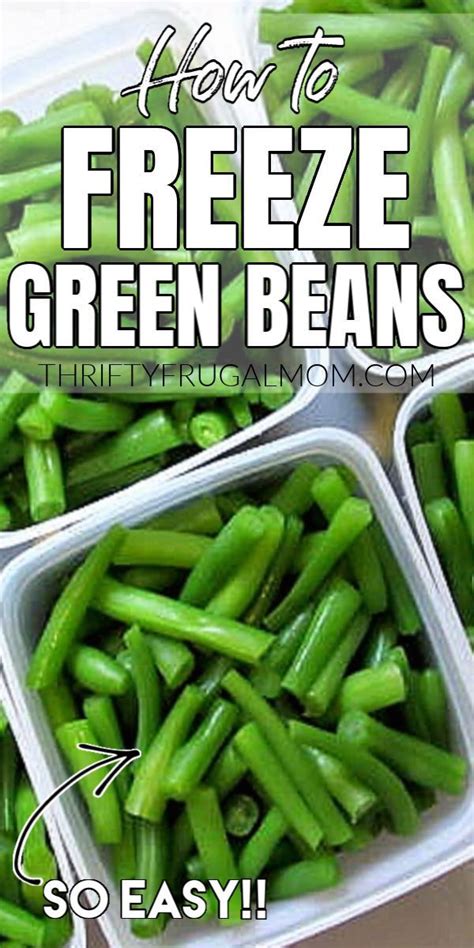 You can freeze green beans in just a few easy steps. How to Freeze Green Beans (a step by step tutorial ...