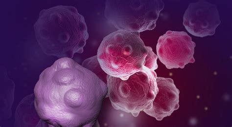 If they are found to be in decent health and are a good candidate for treatment, their life expectancy can be expanded even longer. Long-Term Data Support Use of Venclexta-Gazyva in Patients ...