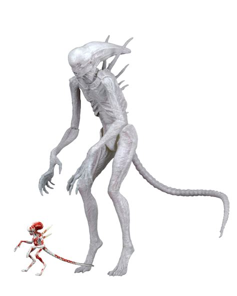 Neca alien covenant neomorph white 7 action figure 1:12 collection 2017 new. Neomorph Actionfigur, Alien: Covenant, 23 cm | Sci-Fi Corner