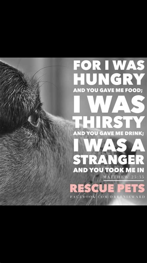 Rescue me quotes on imdb: Pin by Julie Callaway on Sayings.... | Give it to me, Animal rescue
