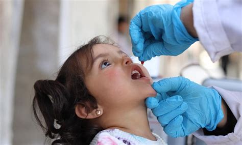 The vaccine rollout strategy varies from country to country. 2020 anti-polio vaccination campaign to kick off Feb. 16 ...