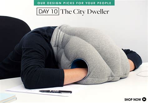 It fits over your head and leaves an opening around your nose and mouth so you can breath. Pin by LVG on Hilarious | Nap pillow, Head pillow, Napping ...