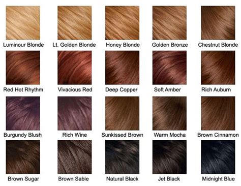 Scroll further to discover the hair colours that'll be everywhere in march. Hair Color Palette-Sunkissed Brown :) | Color de cabello ...