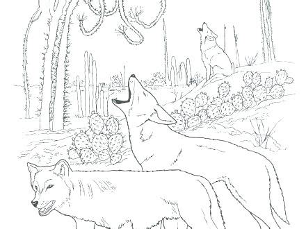 We have collected 38+ animal habitat coloring page images of various designs for you to color. Desert Habitat Coloring Pages at GetColorings.com | Free ...