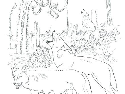 Online coloring pages animal coloring pages free printable coloring pages coloring pages for kids desert colors ocean colors desert diorama desert drawing desert biome. Desert Habitat Coloring Pages at GetColorings.com | Free ...