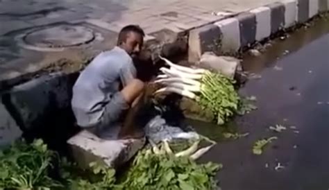 Emmastarr dirty with 2nasty guys porn. Nasty AF: Indian Man Washes Vegetables In A Sewer Water ...