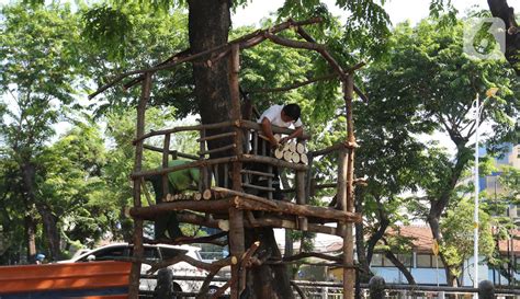 Check spelling or type a new query. FOTO: Pembangunan Taman Rumah Pohon di Tomang - News ...