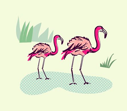 Lucro dos lances por camisas oficiais de atletas. Flamingo Tiere Aus Afrika Und Kritzeleien Stock Vektor Art ...