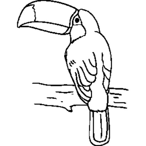 Toucan bird coloring page for kids. Toucan Coloring Sheet