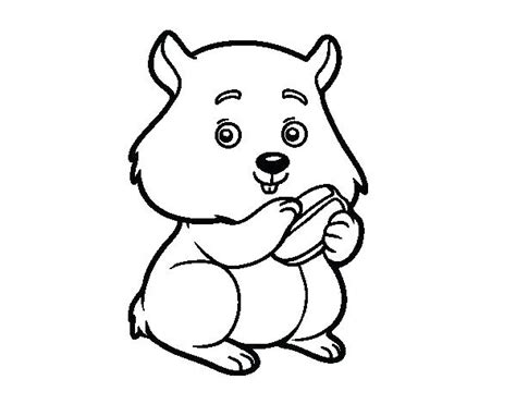 More 100 coloring pages from animal coloring pages category. Realistic Hamster Coloring Pages at GetColorings.com | Free printable colorings pages to print ...