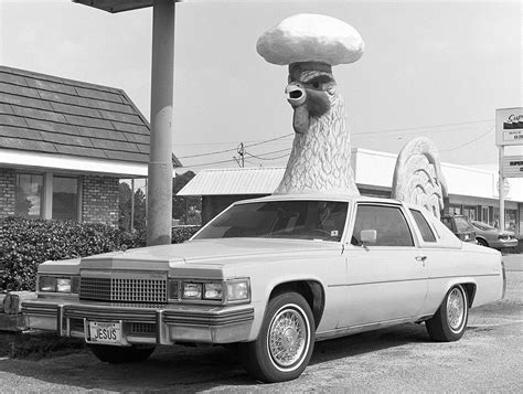 Maybe you would like to learn more about one of these? Chicken Cars | RoadsideArchitecture.com