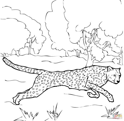 We did not find results for: Baby Cheetah For Coloring Pages - Coloring Home