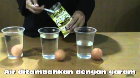 Gambar jorok menjadi gambar yang bagus. Laporan Praktikum Fisika Tentang Hukum Archimedes ...