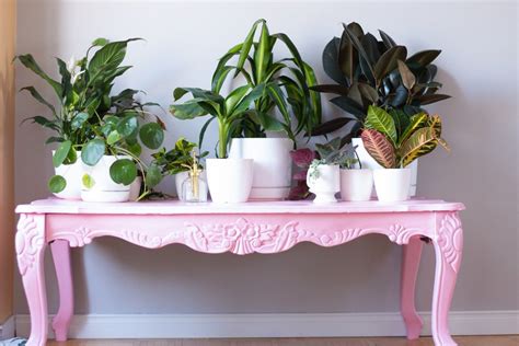 Shop the pink coffee tables collection on chairish, home of the best vintage and used furniture, decor and art. Pretty In Pink | Coffee table makeover, Painted coffee ...