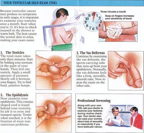 In obese people, the cancer is more likely to be more aggressive and more likely to return after initial treatment. Testicular Cancer Symptoms and Signs in Men