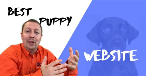 We feel it is the best website to sell puppies online. Best Website to Sell Puppies Online {Video | Things to ...