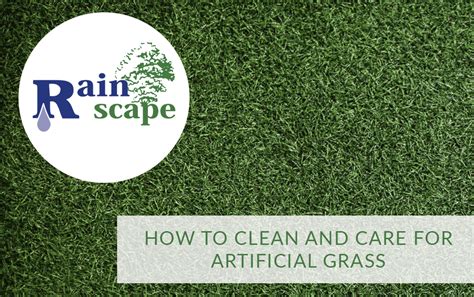 How to clean and maintain artificial grass. How to clean artificial grass - Rainscape