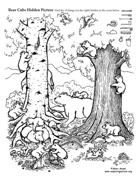 Find more hidden pictures coloring page pictures from our search. Bear Cubs Hidden Picture