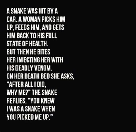 What is the meaning of'snake in the grass'? Pin by riddle on Life.. (With images) | Snake quotes, Quotes, Words