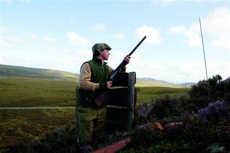 Air rifle hunting, pest control and shooting! I'm a driven grouse shooting novice. Help! - Shooting UK