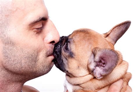 International kissing day itself is not only about french kissing your significant other, but to bring people closer in general. People Prefer to Kiss Dogs on International Kissing Day ...