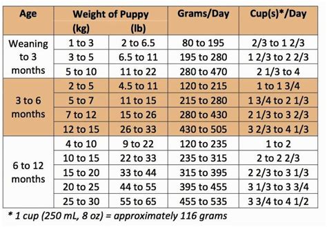 2:10 enzo english bulldog 7 768 просмотров. Rottweiler puppies food chart | Dogs, breeds and ...