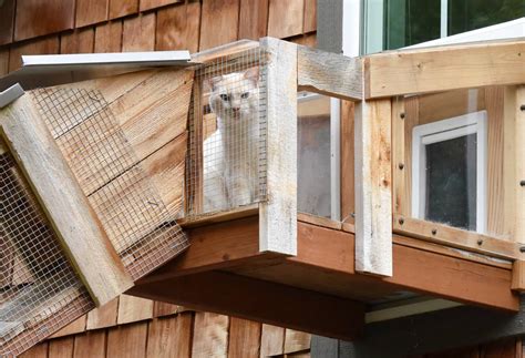 These are cat walks with room for. WSHG.NET | A Catwalk Project Fit for a Builder and His Cat ...