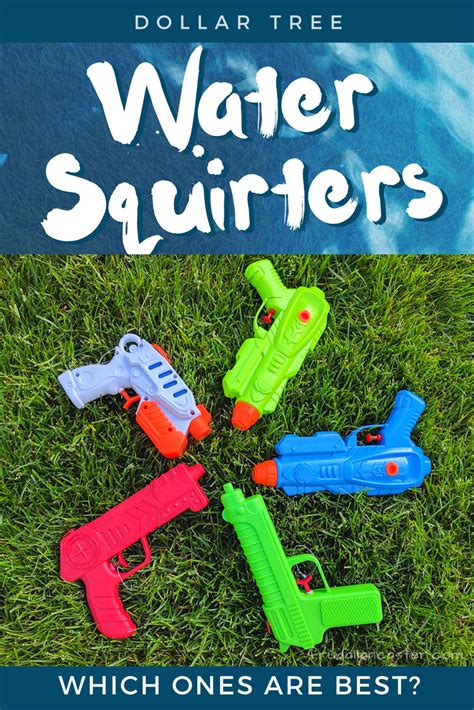 Each dollar tree can be unique in the items they carry. Dollar Tree Water Squirter Comparison: Which Ones Are Best ...