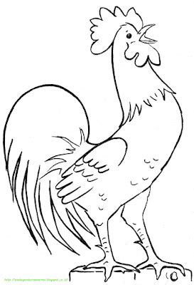 Mewarnai gambar sketsa hewan ayam 1. Gambar Mewarnai Ayam - 10 | Cara menggambar, Buku mewarnai ...
