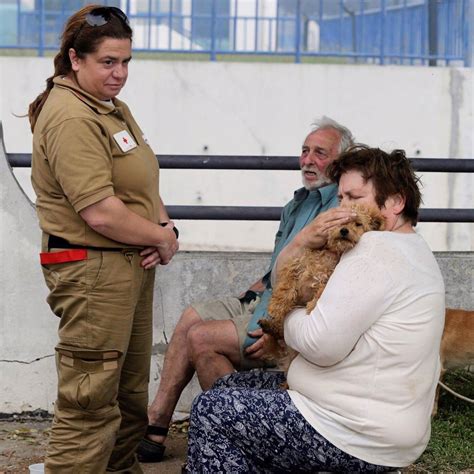 El fuego, calificado por el primer ministro del país como la mayor tragedia de los. Protetores se mobilizam para localizar e atender animais ...