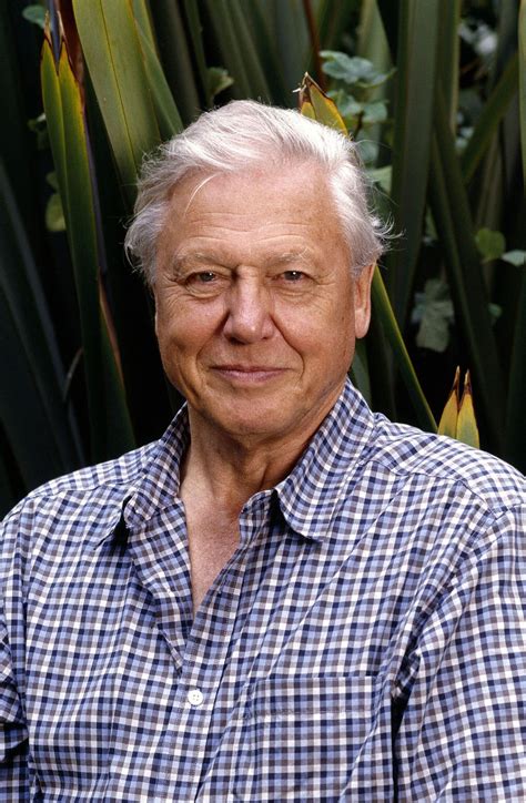 David attenborough== sir david frederick attenborough om, ch, cvo, cbe, frs, fzs, fsa (born 8 may 1926) is a british broadcaster and naturalist. EO schrapt evolutie uit natuurfilms Attenborough - NRC