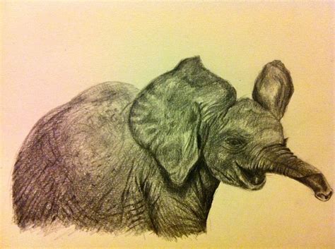 Elephant drawings | | Elephant sketch, Elephant, Elephant ...