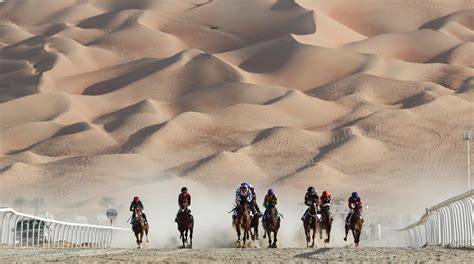 Professional camel racing started in 1972 in qatar and the season usually runs from september through to around march. In pictures: Meet the droids who race camels | Middle East Eye