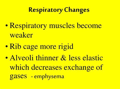3:22 the rib cage is an origin and insertion area for many muscles. PPT - Geriatric Care PowerPoint Presentation, free ...