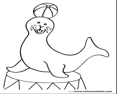 38+ harp seal coloring pages for printing and coloring. Harp Seal Coloring Page at GetColorings.com | Free ...