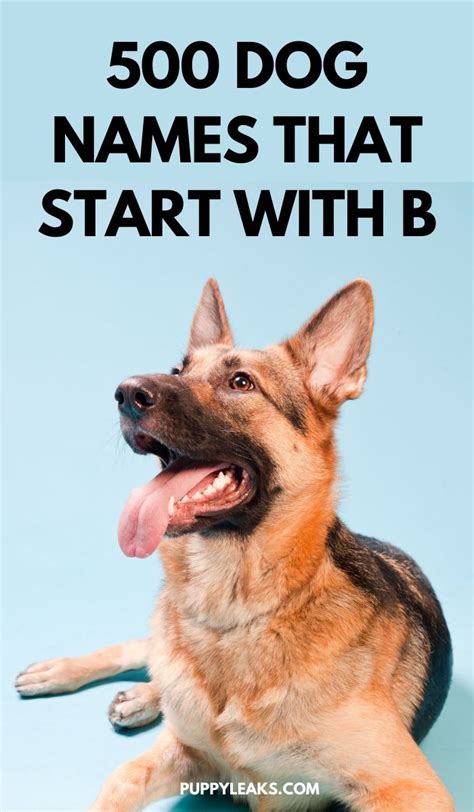 Finding the right inspiration can be tricky, but you will definitely find energetic and friendly name for your dog. 500 Dog Names That Start With B - Puppy Leaks in 2020 ...