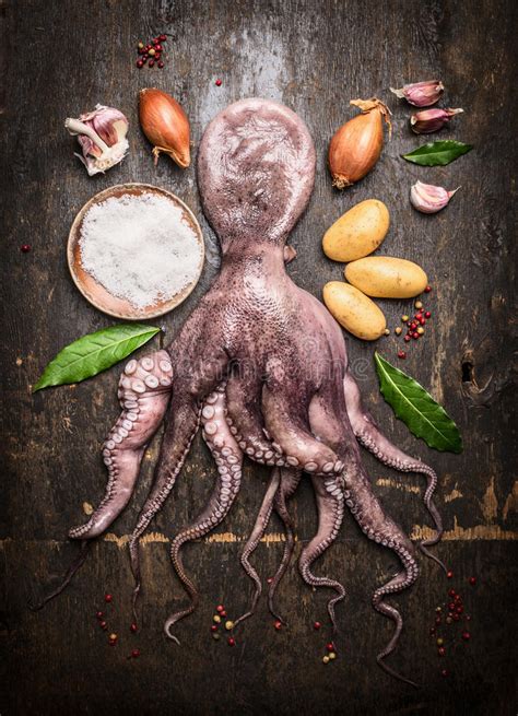 ¿quieres saber como cocinar pulpo? Pulpo fresco foto de archivo. Imagen de vivo, pista ...