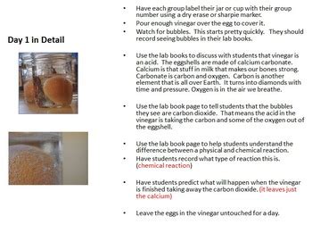 Labs to address standards for inquiry. The Naked Egg Science Lab - Teach Chemical Reactions and Osmosis Through Labs