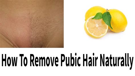 Use a sugar scrub as your exfoliate to leave your skin smooth. Best Way To Remove Pubic Hair | Galhairs